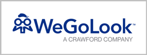 WeGoLook logo